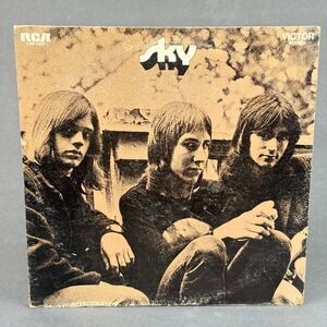 Sky Don't Hold Back Vinyl Record RCA Victor LSP-4457 LP 1970 Rock - VERY GOOD